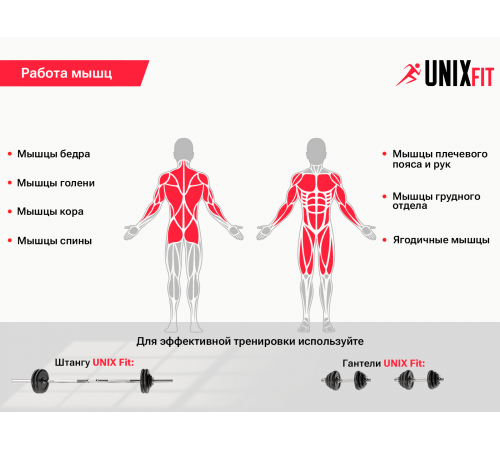 Скамья силовая со стойками UNIX Fit BENCH 120P
