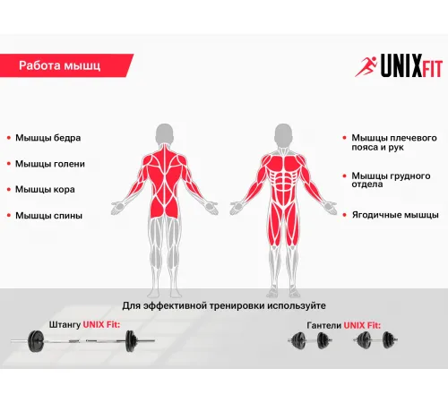 Скамья силовая со стойками UNIX Fit BENCH 120P